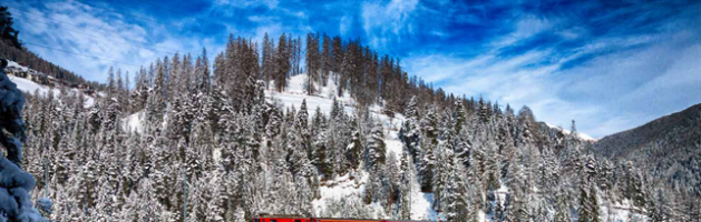 Gita Culturale a bordo del Trenino Rosso del Bernina (sabato 2 marzo)