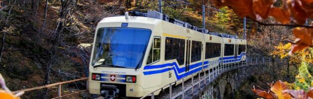 TRENINO DEL FOLIAGE e DOMODOSSOLA – SABATO 01/11/2025